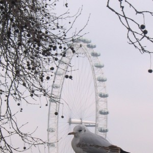 Londra 2011